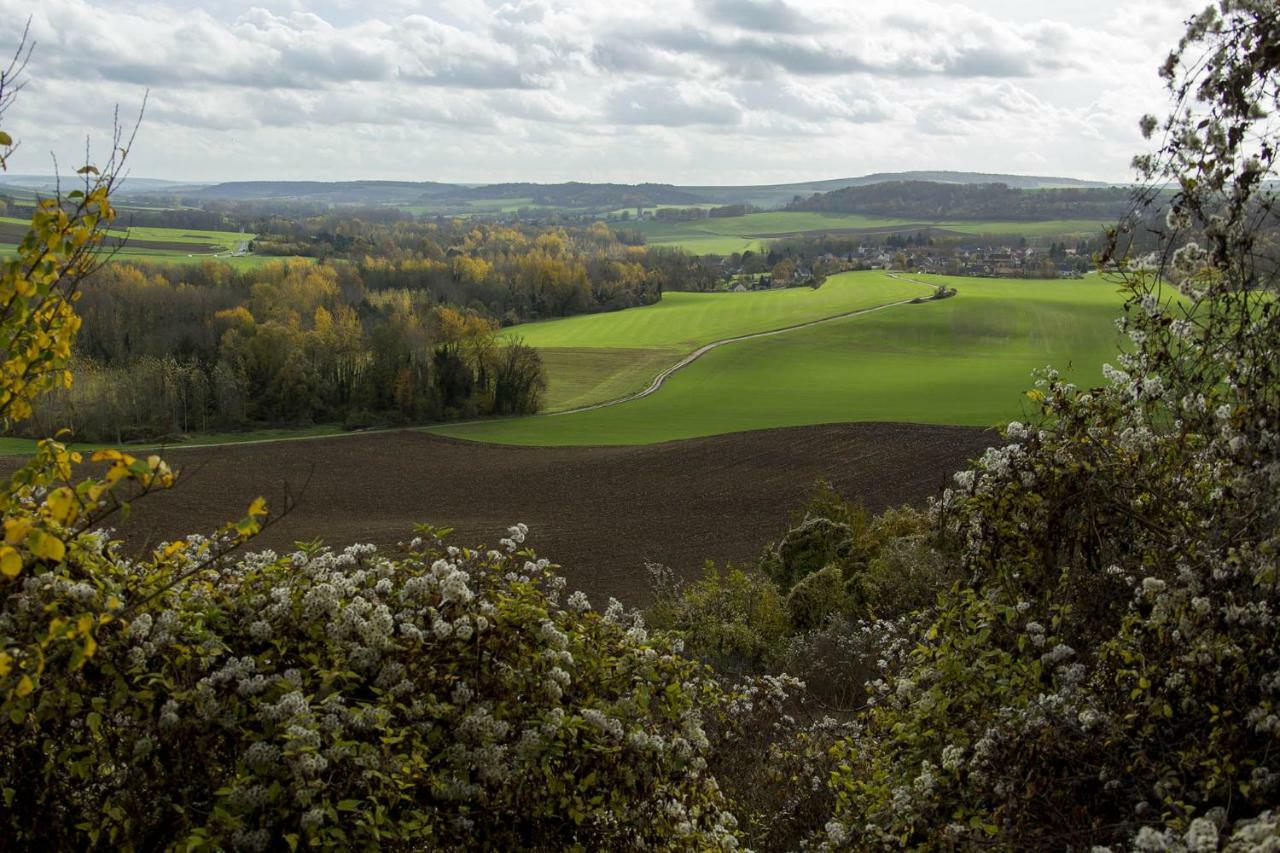 Le Lodge Des Bruyeres Mont-Notre-Dame Bagian luar foto